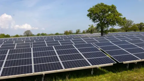 Getty Images Rows of solar panels stand in a field. There is a tree standing between two of the rows. In the distance there are more trees. The sky is blue with few clouds. 