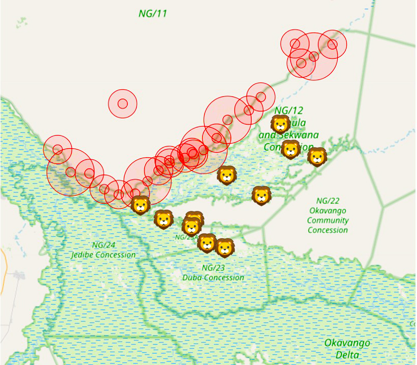 If a lion gets within a 5-kilometer [3-mile] radius of a village, or 3-kilometer [1.9-mi] radius of a smaller cattle post, people who live within that radius receive an alert. 