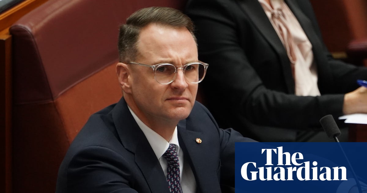 Labor under pressure on plans to regulate AI as Coalition accuses government of mixed messages | Australian politics