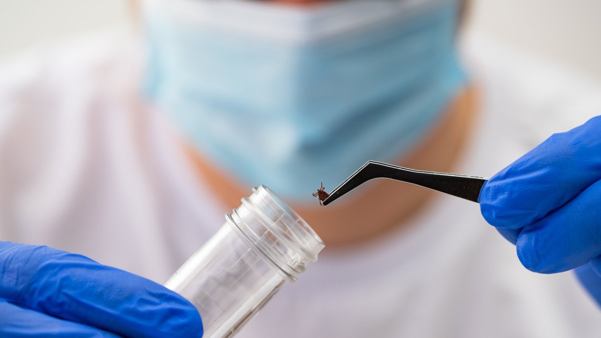 Scientists investigate virus risk in ticks across eastern Türkiye