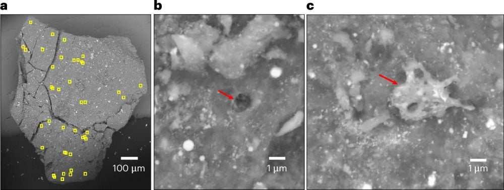These panels are scanning electron microscope images of one of the Bennu samples. a shows microcraters in yellow, b shows a typical microcrater, and c shows an impact melt deposit. Image Credit: Keller et al. 2025. NatGeo