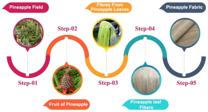 Investigation of the mechanical properties of pineapple leaf fibre-reinforced biocomposites