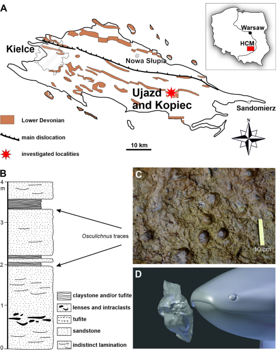 Traces of dipnoan fish document the earliest adaptations of vertebrates to move on land