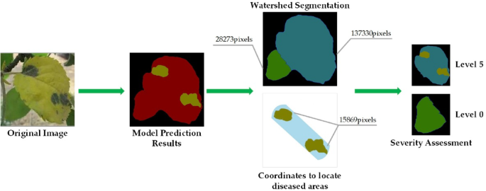 figure 14