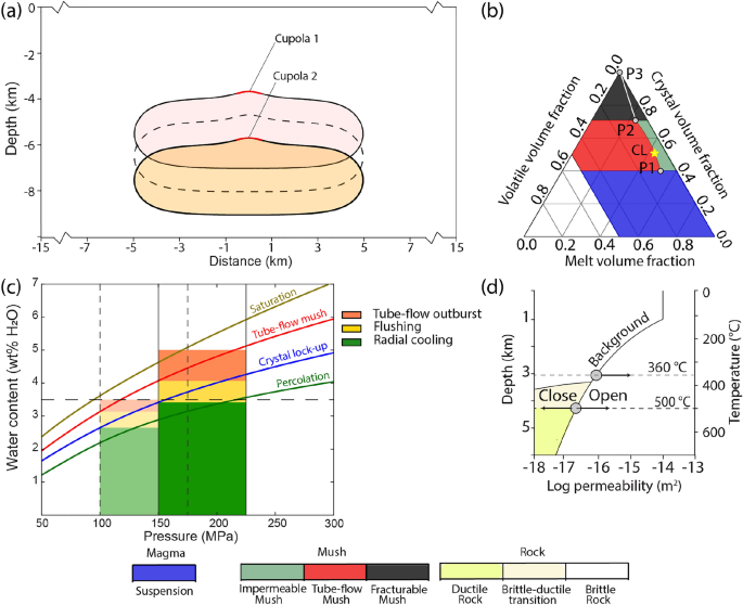 Contrasting timescales of metal fluxes in porphyry copper systems from coupled physicochemical processes of magmas, rocks and fluids