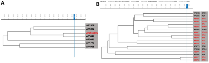 Genomic and phenotypic characterization of six multidrug-resistant Acinetobacter pittii isolates
