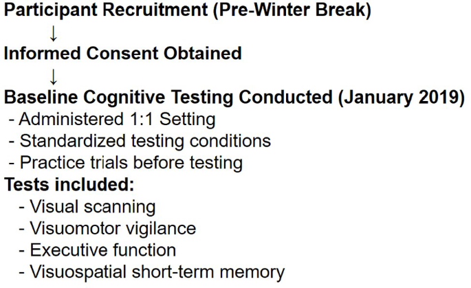 Influence of selected cognitive performances on musculoskeletal injury occurrence in adult male professional Slovenian PrvaLiga football players in a prospective cohort study