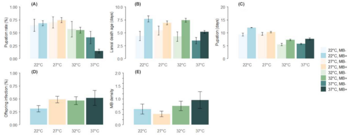 The dissemination potential of Microsporidia MB in Anopheles arabiensis mosquitoes is modulated by temperature