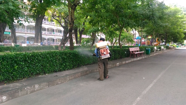 11 dengue-related deaths reported in Vietnam’s south