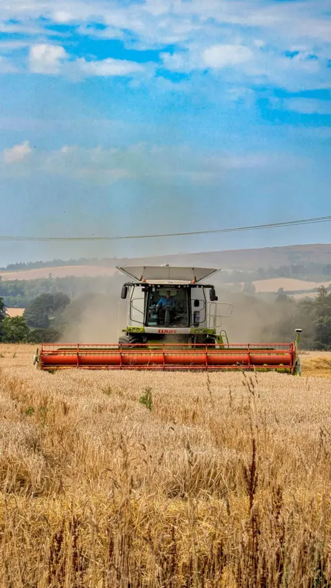 Pete Walls Portrait image of a harvester machine ploughing through a field on a bright sunny day with white fluffy clouds in the sky
