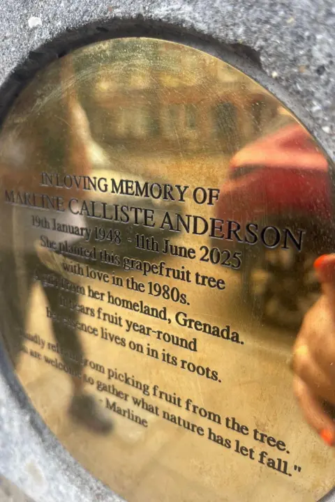 A memorial plaque that says it is in loving memory of Marline Anderson with the date she was born, 19 January 1948, to the date she died, 11 June 2025. It says Marline planted the tree with love in the 1980s