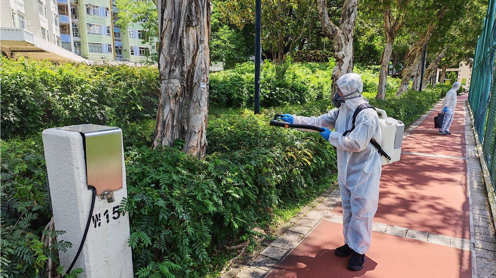 Hong Kong sees first case of chikungunya fever since 2019