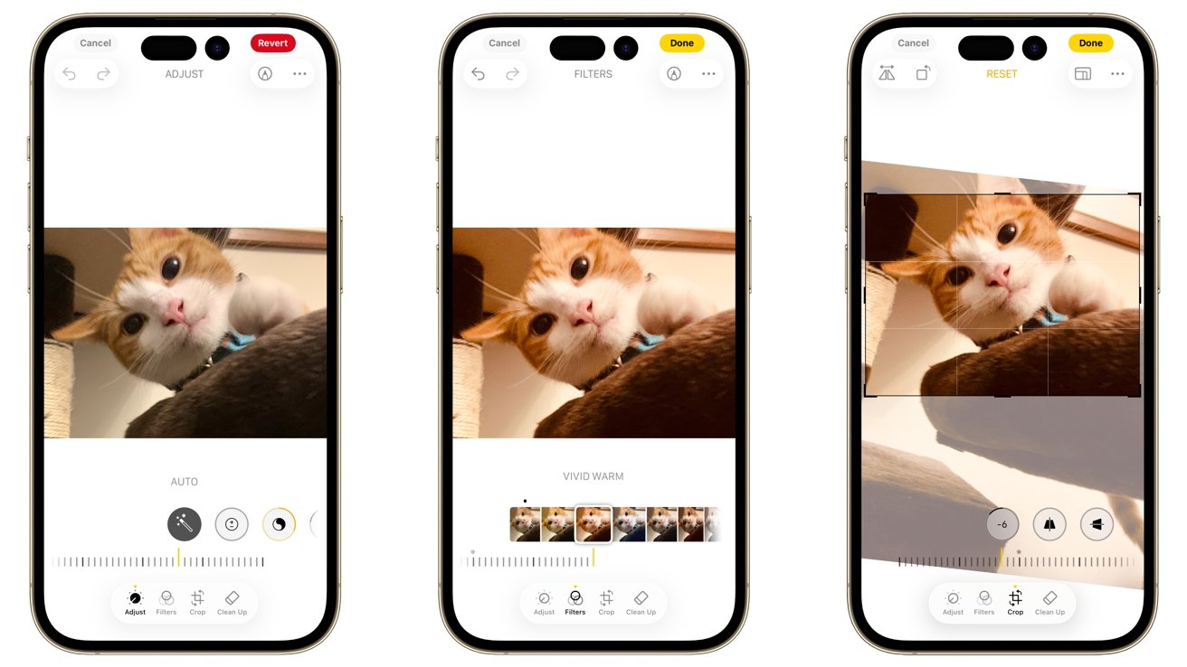 Three smartphone screens display a photo editing app with an image of a cat looking curiously at the camera.