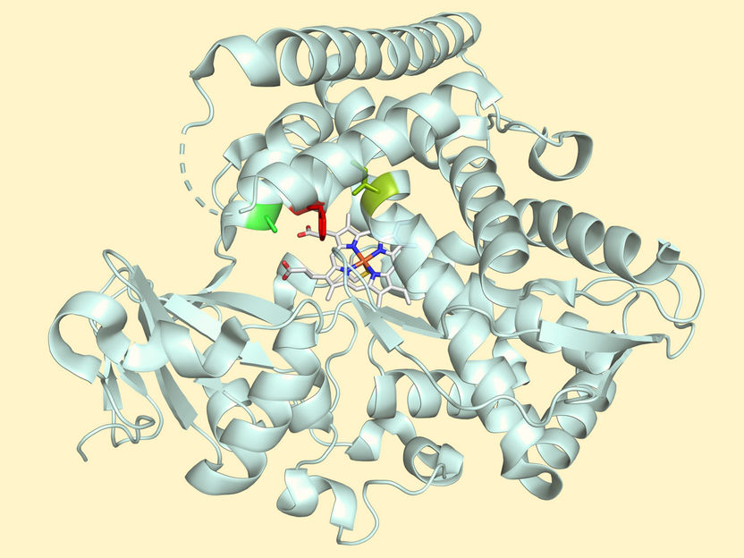 Engineered enzyme to precisely build complex molecules