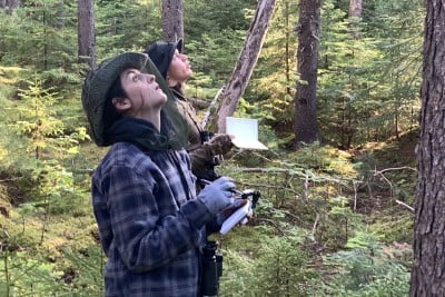 Birds Found Thriving in a Very Large Commercial Forest in Maine