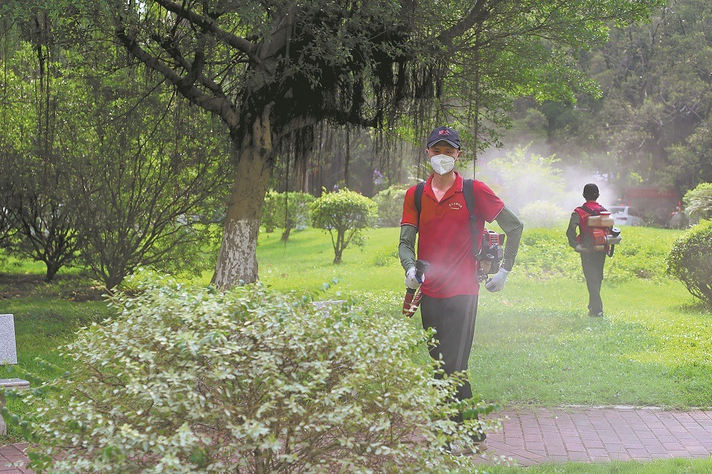 Chikungunya battle requires long-term vigilance, say experts