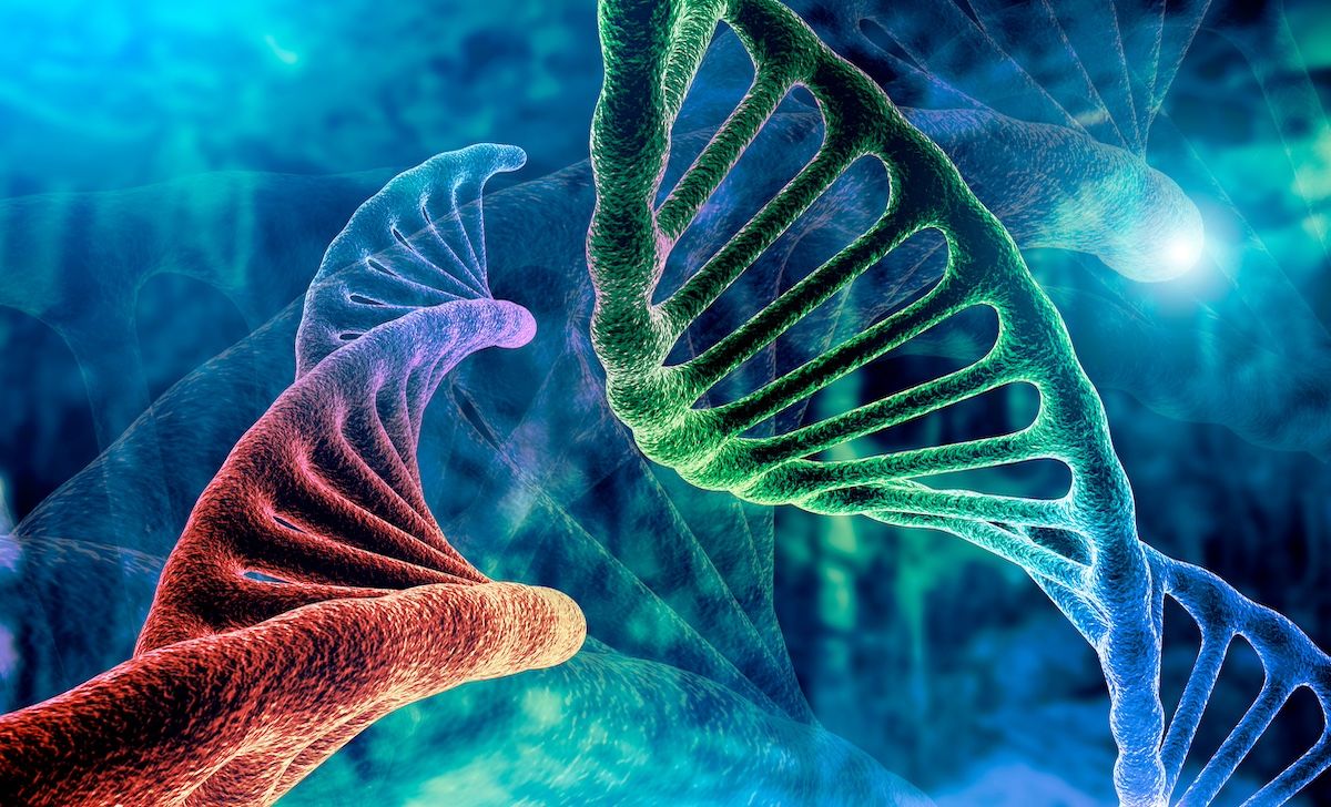 Rheumatoid Arthritis Associated With Increased Risk of IPF