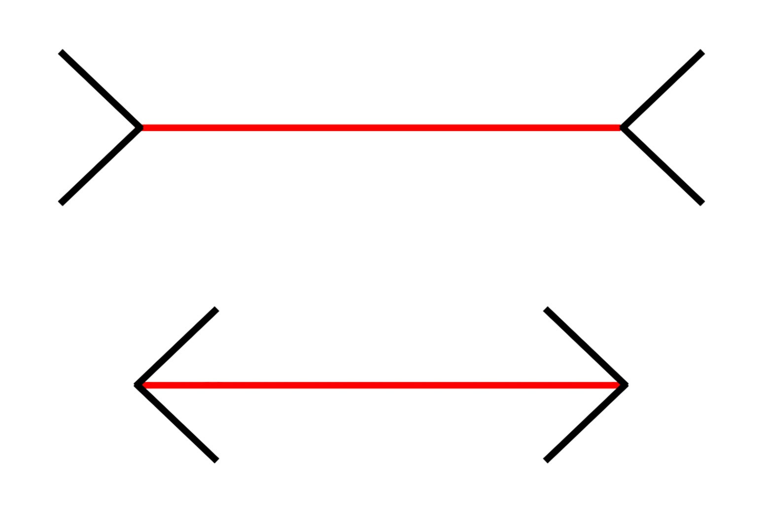 Two lines of equal length but one has arrows facing out and one has arrows facing in, on the ends. 