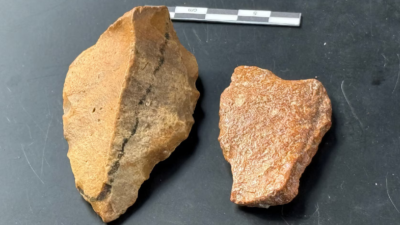 Asia News Wrap: A breakthrough on human history in Indonesia, and more – news.cgtn.com
