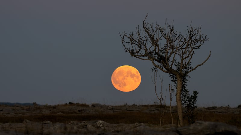 The Lone Tree, by Enda O’Loughlin, shortlisted in Out of this World – Planetary. 'It was a full moon in September and I wanted to capture a photo of the moon over this iconic lone tree in the Burren limestone pavement,' says Enda. 'The image is really two images taken within a couple of seconds of each other; one is exposed and focused for the Moon and one is is focused on the lone tree; both images are edited on Lightroom Classic and merged into Photoshop to show the focus on both the Lone Tree and Moon'