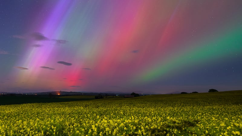 Aurora above the Golden Fields, by Raluca Lica, Kildare, the winning image in the Back on Earth – Landscape category. 'The image was captured during the impressive geomagnetic storm on the night between May 10th and 11th, 2024. I was a little sceptic about the forecast and I was quite late getting on the move,' says Raluca. 'However, as I was loading my gear into the car, the sky suddenly brightened up and the beams started dancing. It was an unbelievable experience.
The photo was taken with my Sony A7iii camera and my Sony 20mm lens, at ISO 1250, at f/1.8, three seconds exposure'