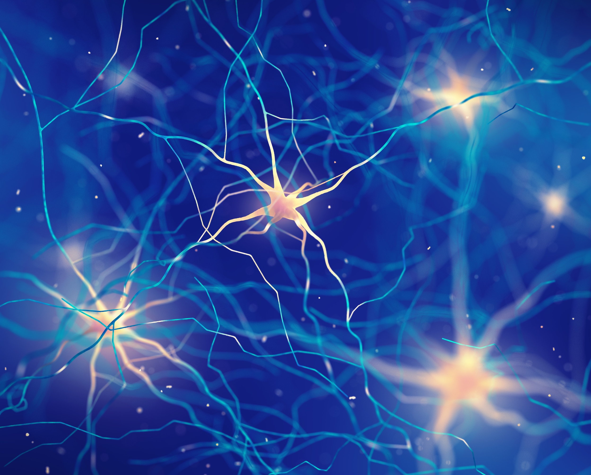 Brain aging linked to sluggish production of key proteins