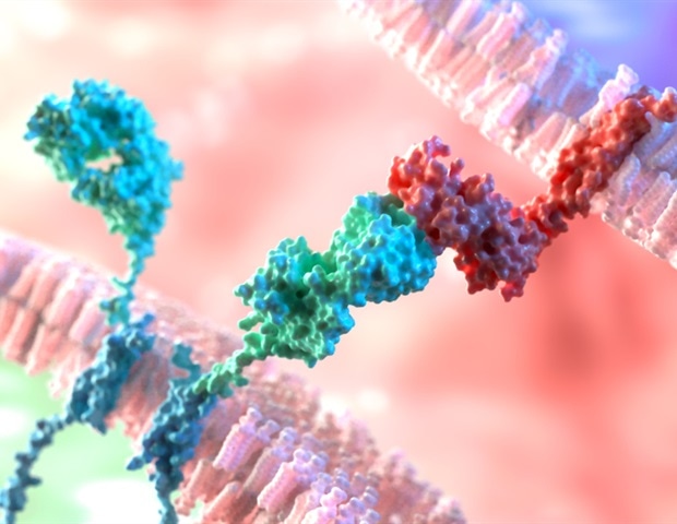 New computational tool enhances CAR T cell therapy for hard-to-treat cancers