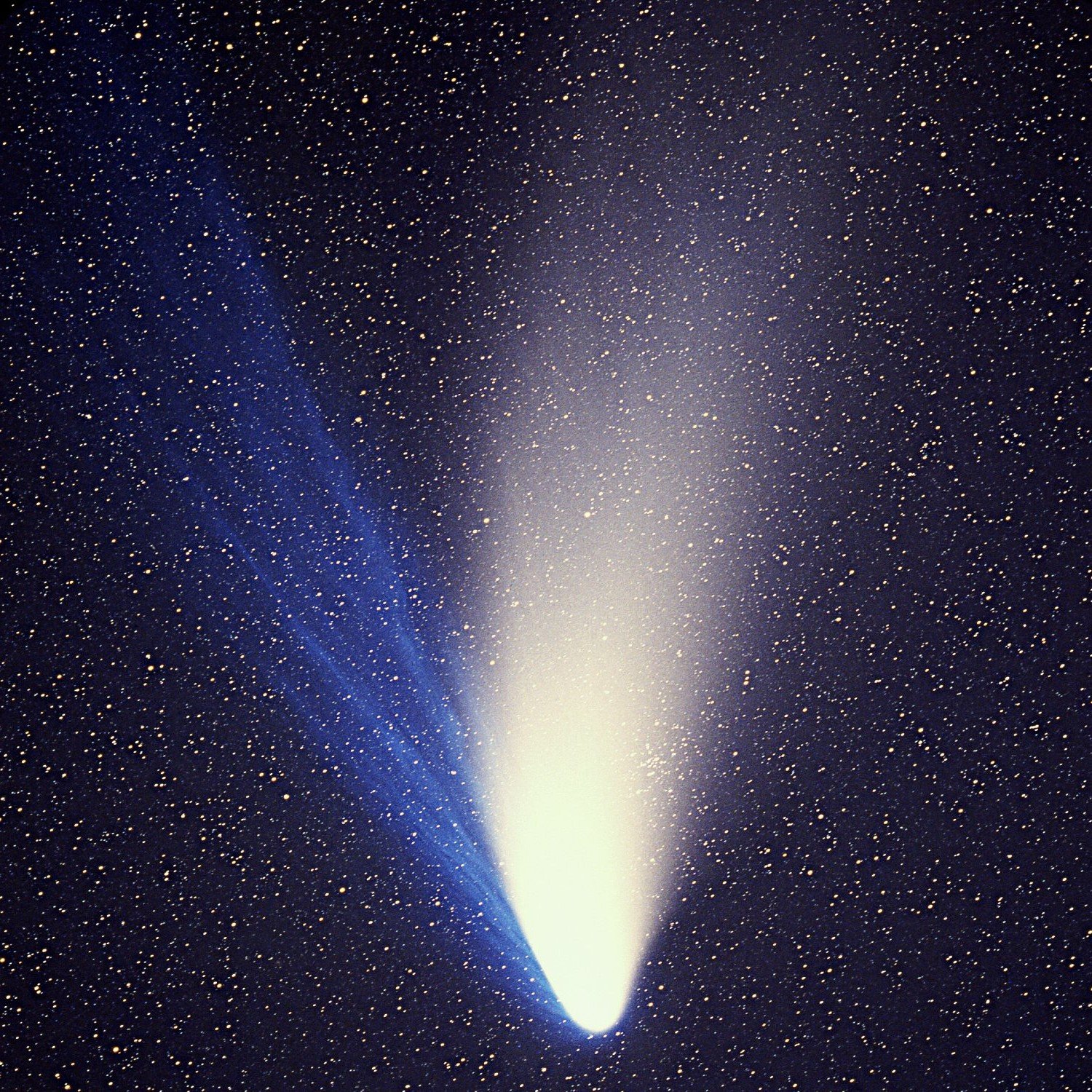 Comets in our Solar System are a familiar sight. An image of comet C/1995 O1 (Hale-Bopp), taken on April 04, 1997 with a 225mm f/2.0 Schmidt Camera (focal length 450mm) on Kodak Panther 400 color slide film with an exposure time of 10 minutes; the field shown is about 6.5°x6.5°; at full resolution, the stars in the image appear slightly elongated, as the camera tracked the comet during the exposure (Credit : E. Kolmhofer, H. Raab; Johannes-Kepler-Observatory)