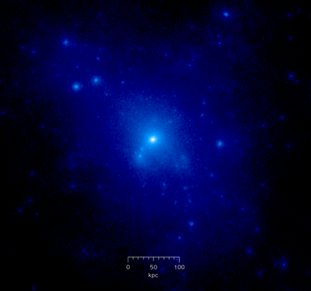 Simulated dark matter halo
