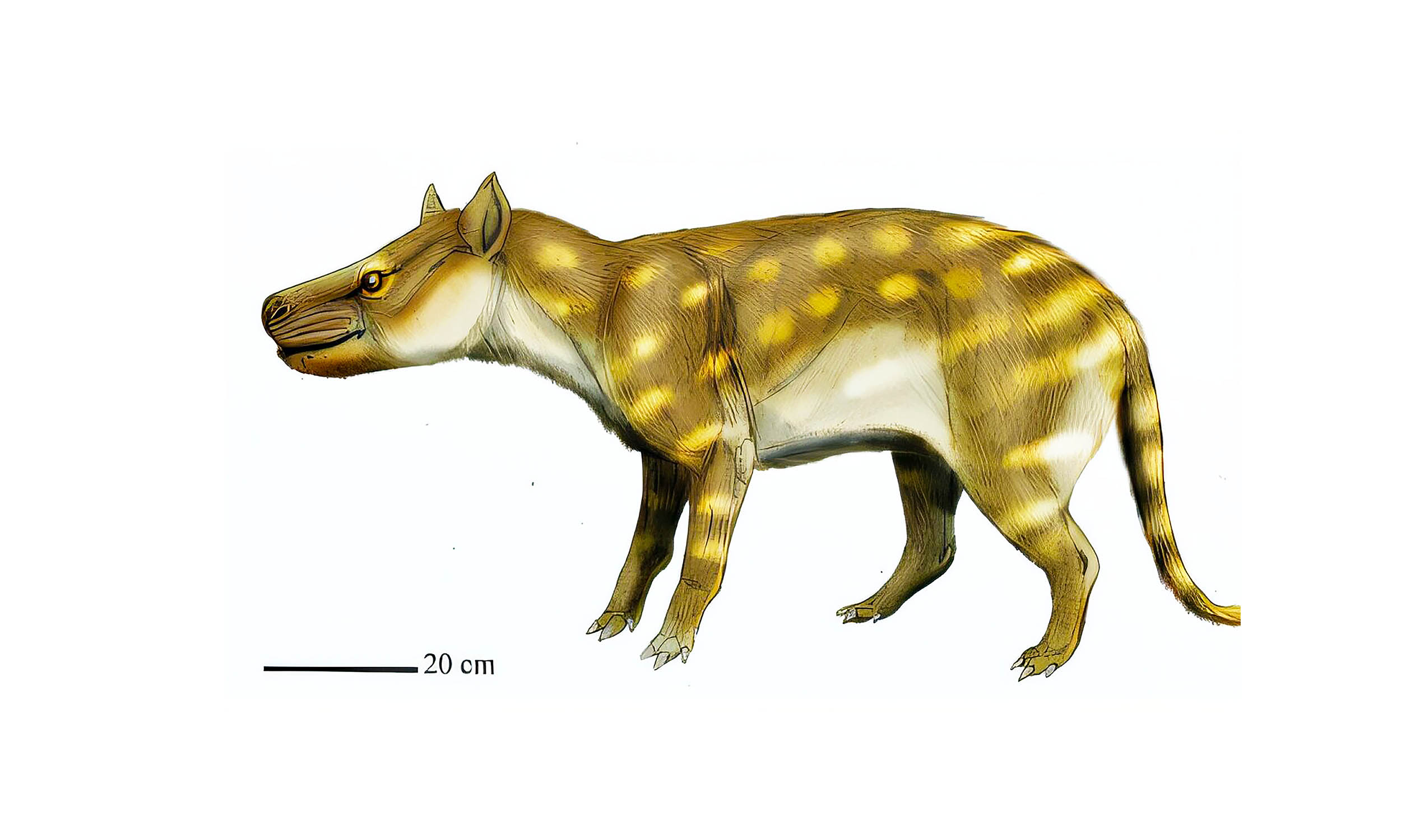 Ancient predator found a unique way of adapting to climate shock