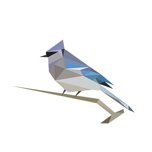 The BirdNET logo.