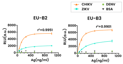 Figure 2. Detection of serially diluted (0-1000 ng/mL) recombinant CHIKV-E2 (Sino Biological, 40440-V08B), ZIKA-E (Sino Biological, 40543-V08B4), DENV-E (Sino Biological, 40471-V08B) proteins using peptide aptamers B2 and B3 10.