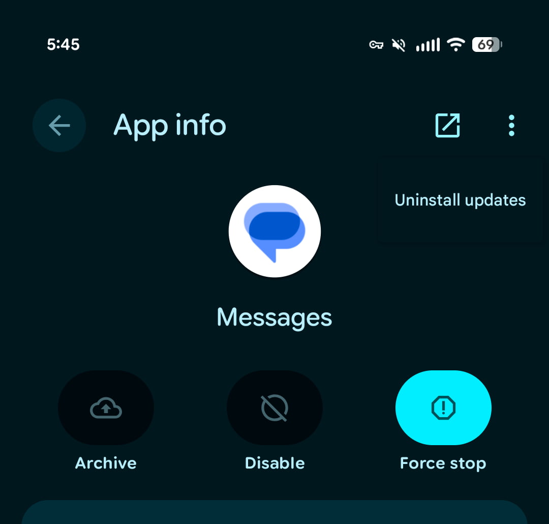 Google Messages crashing