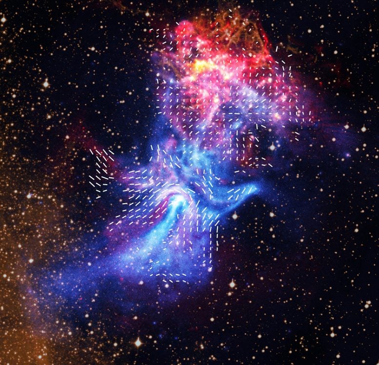 Hand in Hand NASA Image Vectors