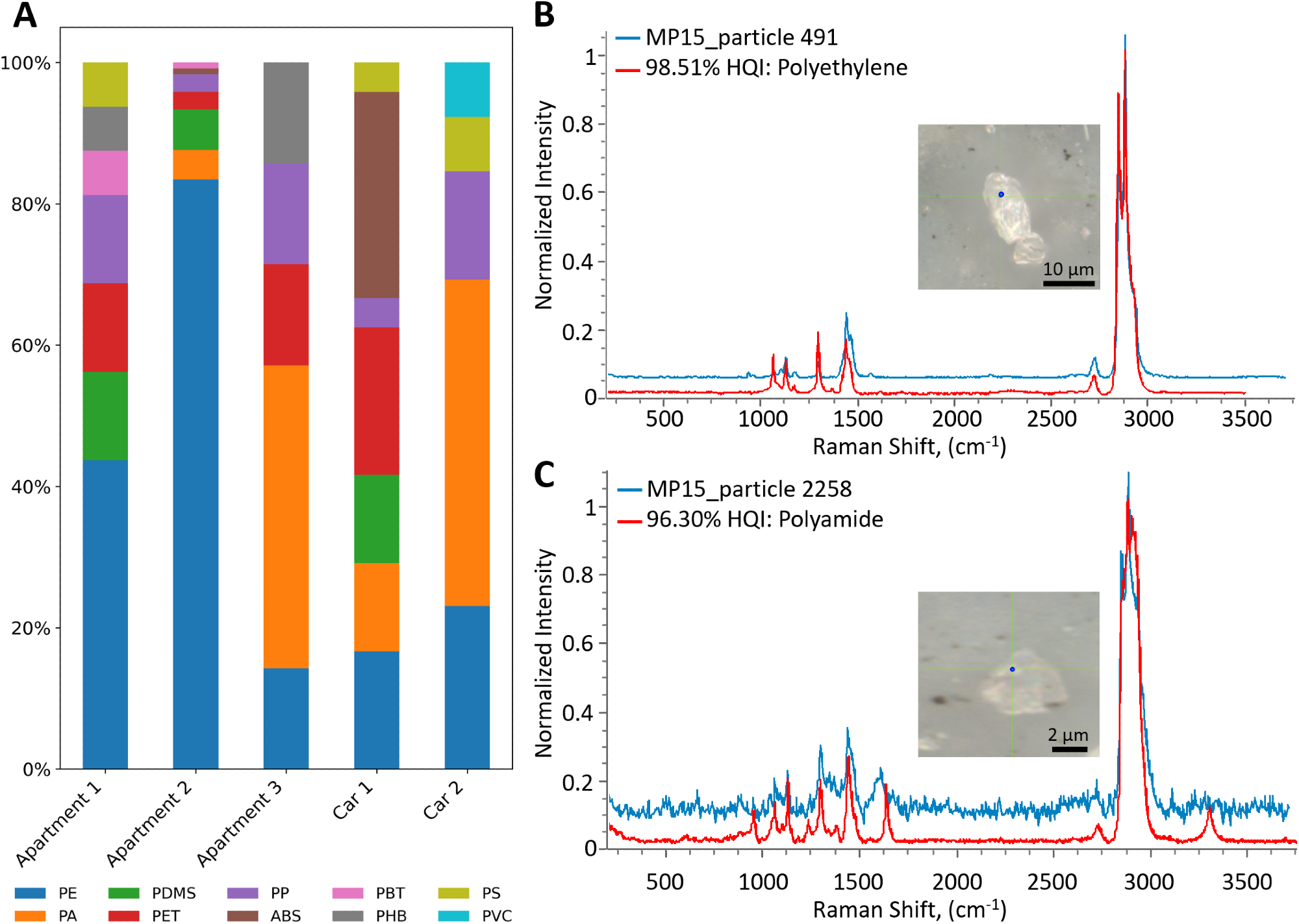 MP polymer composition in indoor environments. (A) Total suspended MP polymer composition observed in different indoor environments studied. (B) Raman spectrum of polyethylene (PE) particle (blue) and reference spectrum of PE (red). (C) Raman spectrum of polyamide (PA) particle (blue) and reference spectrum of PA (red).