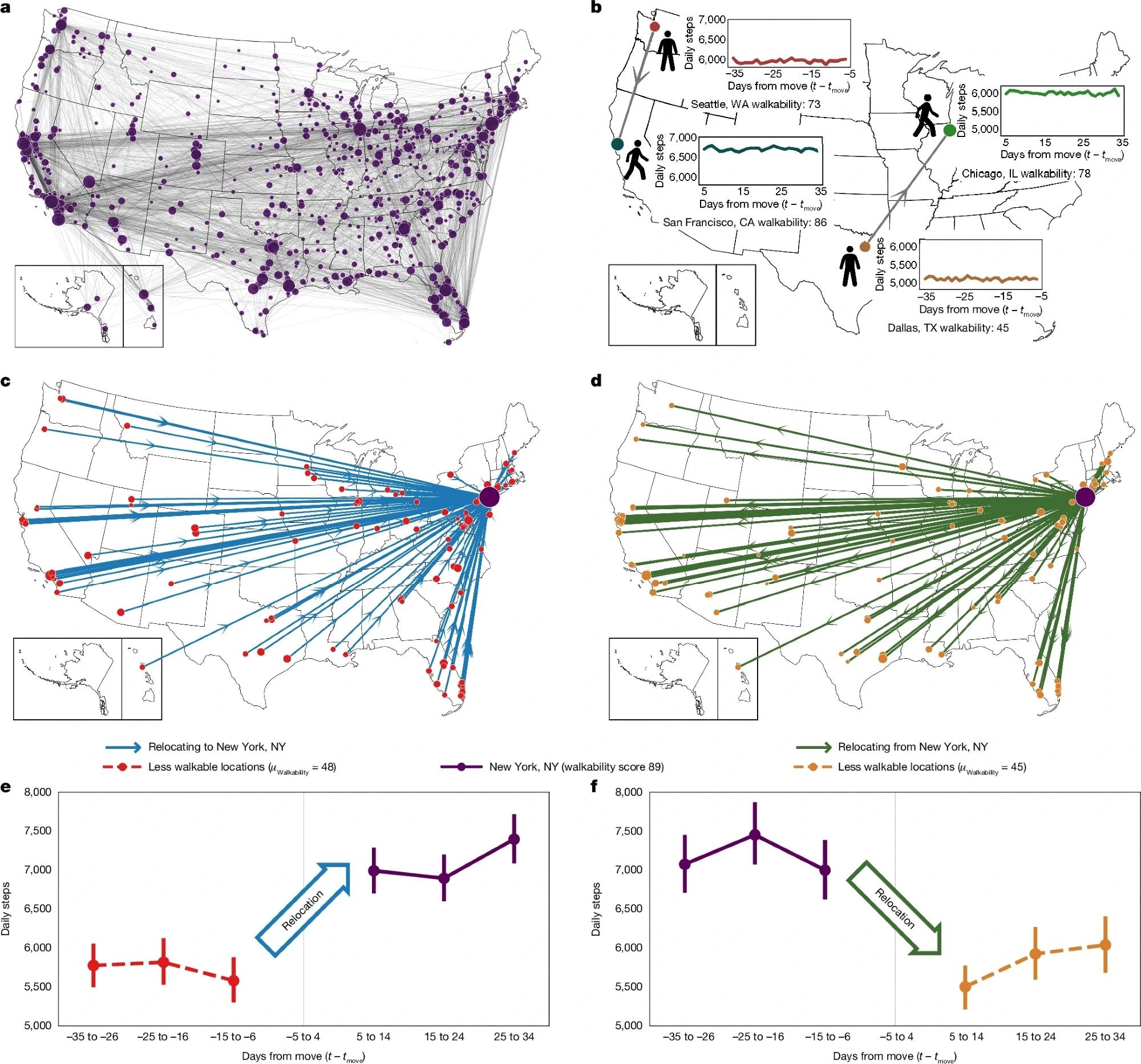 a, During the observation period, 5,424 participants relocated 7,447 times between 1,609 US cities. Circle area is proportional to the square root of the number of relocations to and from the city. b, The physical activity levels of participants were tracked through smartphone accelerometry over several months before and after relocation, creating a countrywide study of 7,447 quasi-experiments. c–f, Physical activity of participants moving from less walkable locations to New York City (c,e), in comparison to participants moving in the opposite direction (d,f). Activity levels change significantly immediately after relocation and are symmetric but inverted for participants moving in the opposite direction (e,f). All error bars throughout figures correspond to bootstrapped 95% confidence intervals. Credits: a–d, maps reproduced from US Census Bureau (https://www.census.gov/geographies/mapping-files/2016/geo/carto-boundary-file.html); b, walking human silhouette reproduced from Wikimedia commons under a Creative Commons CC BY 1.0 license.
