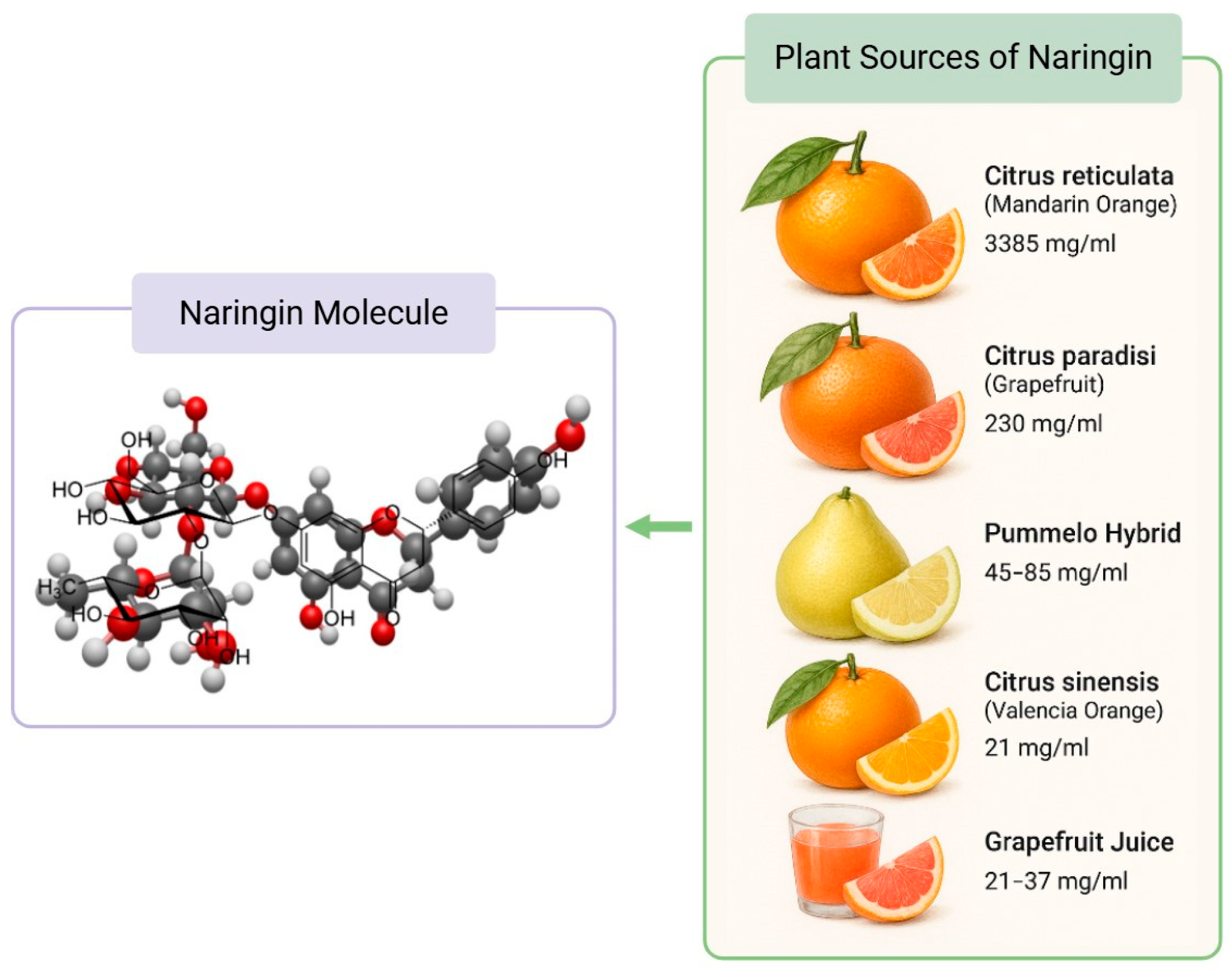 Naringin Molecular Structure and Citrus Food Sources. The concentration of naringin in plant sources were obtained from Alam et al.