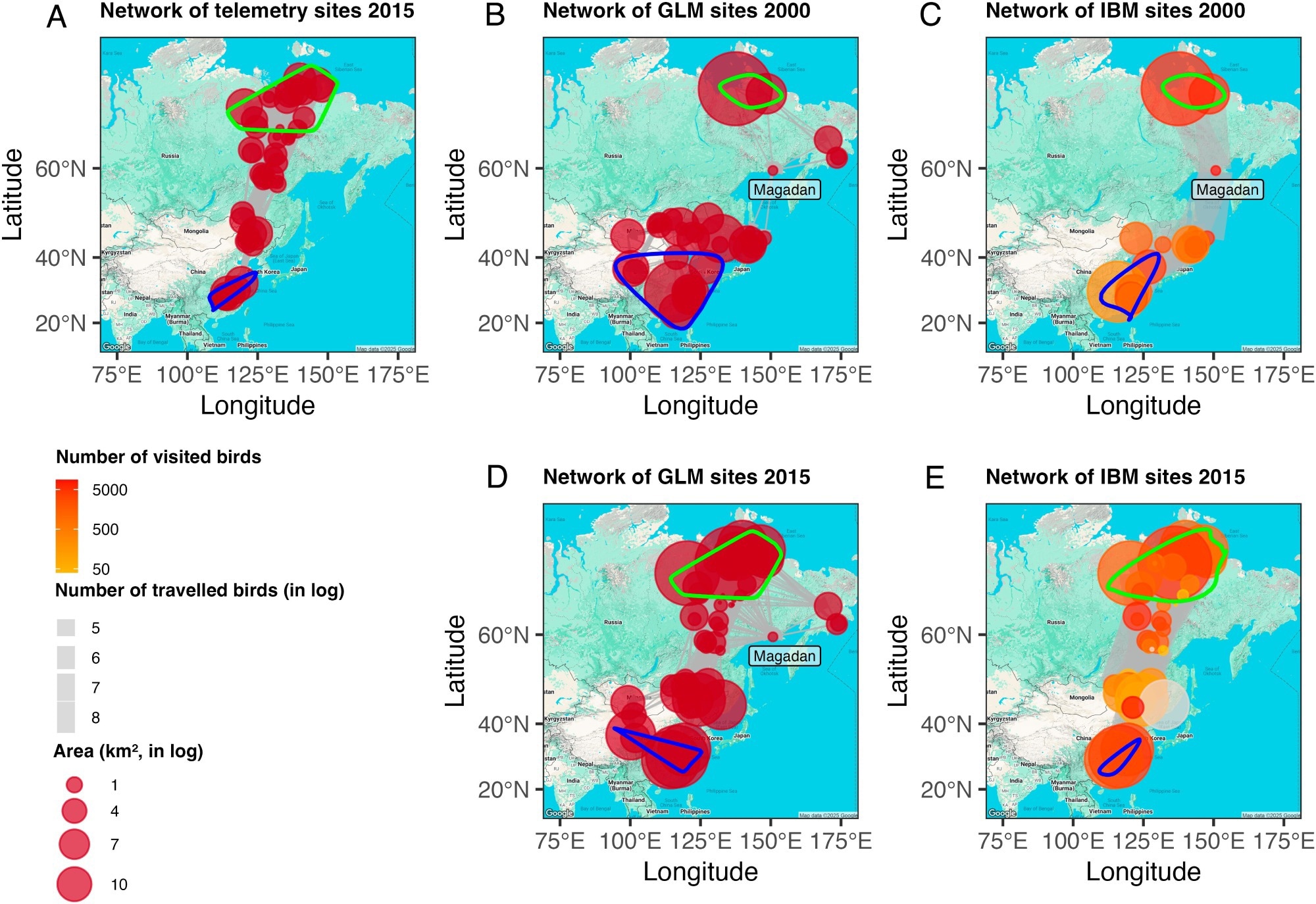 Migration networks generated from telemetry tracking, GLM predictions, and IBM simulations for 2000 and 2015 scenarios. (A) Network of sites from dBBMM using 2015 telemetry tracking data; (B) Network of sites predicted by GLM for 2000; (C) Network based on sites simulated by IBM for 2000; (D) Network of sites predicted by GLM for 2015; (E) Network based on sites simulated by IBM for 2015. Links in networks A, B, and D use migration step length, whereas links in networks C and E use simulated IBM movement trajectories. Green and blue contours show breeding and wintering ground ranges, respectively. In networks C and E, node color indicates number of visited birds, and link width indicates number of traveling birds.