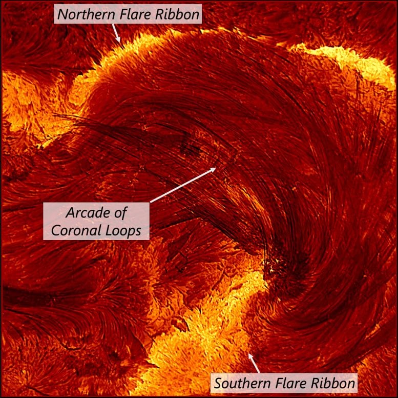 Inouye X-Class Solar Flare Coronal Loops Annotated