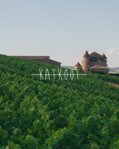 Katkoot's first ad campaign for the newly introduced White Burgundy Premier Cru wine.