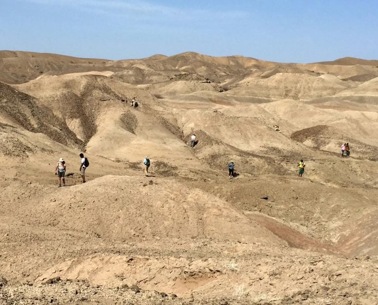 Lee Adoyta Basin