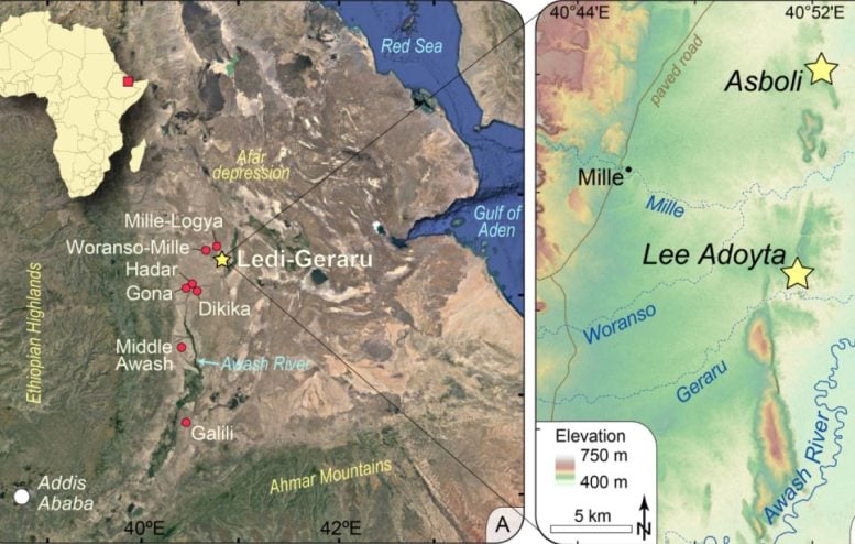 Location of the Ledi Geraru Site and Australopithecus