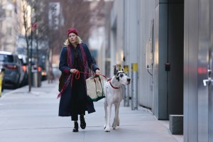 THE FRIEND, from left: Naomi Watts, Bing, 2024. ph: Matt Infante / © Bleecker Street Media / Courtesy Everett Collection