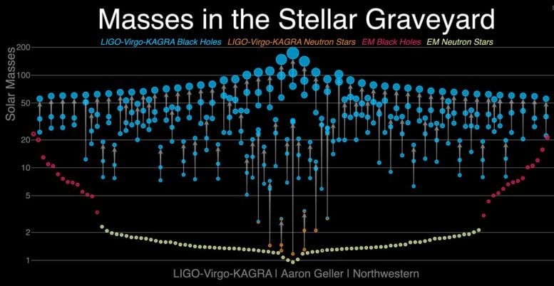 Mass Distribution of Black Holes and Neutron Stars