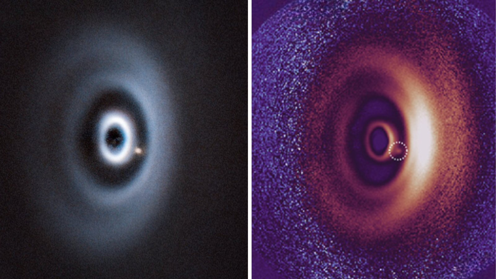 Astronomers find 1st exoplanet in multi-ring disk around star in ‘remarkable discovery’