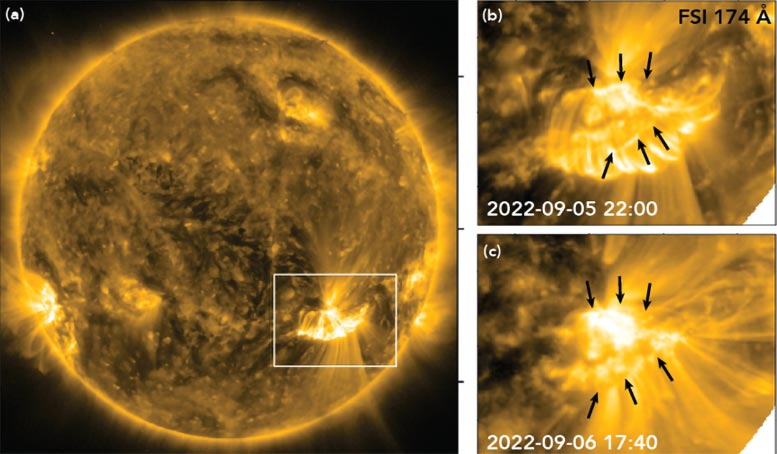 Parker Solar Probe Coronal Mass Ejection Source