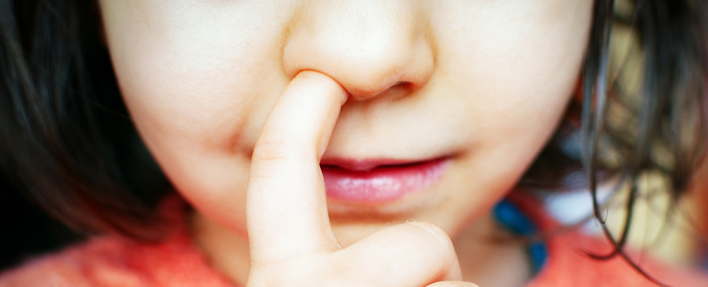 Study on Mice Suggests Nose-Picking Has a Surprising Link With Alzheimer’s : ScienceAlert