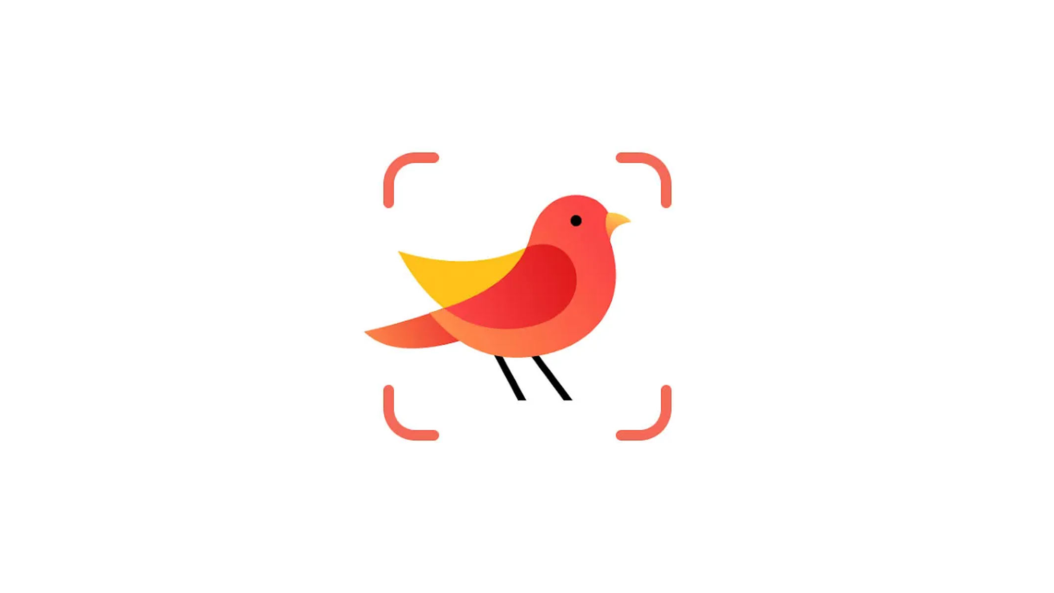 The Picture Bird app logo.