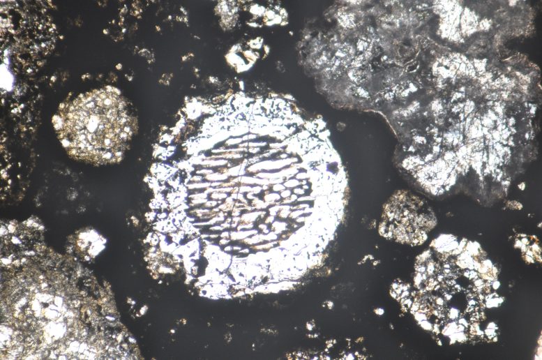 Round Chondrules Allende Meteorite