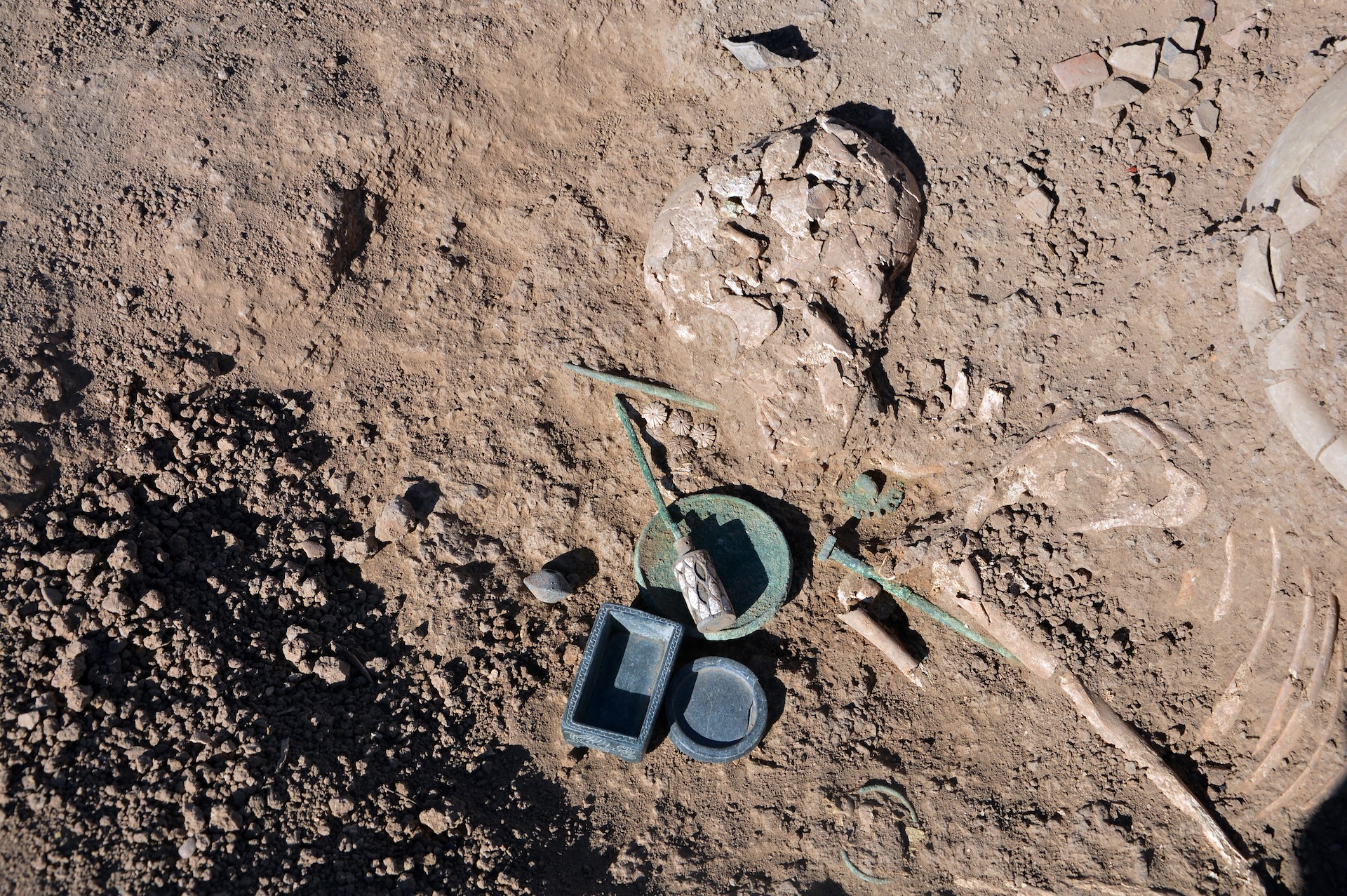 a close-up of an excavated grave with a human skeleton in the dirt